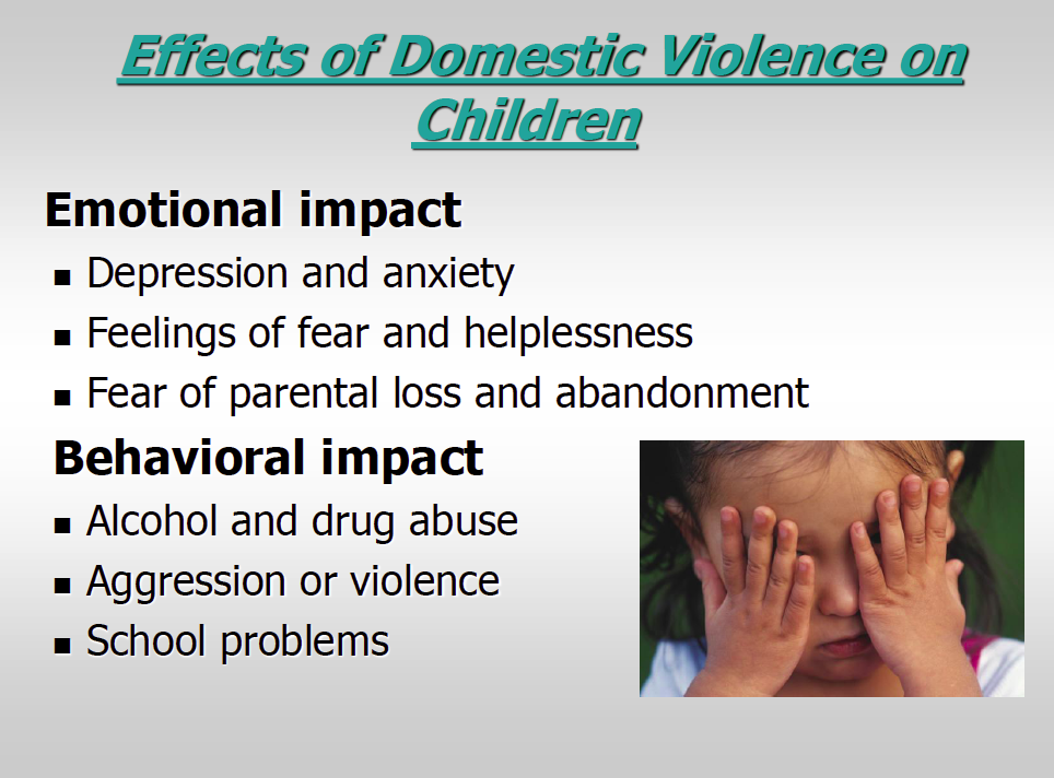 Domestic Violence And Its Effects On The